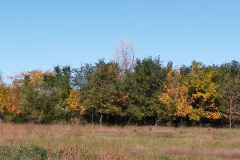 20171010_130433