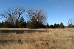 FB_IMG_1543232603036-500x400-1