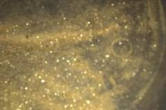 IMG_20190730_133608075