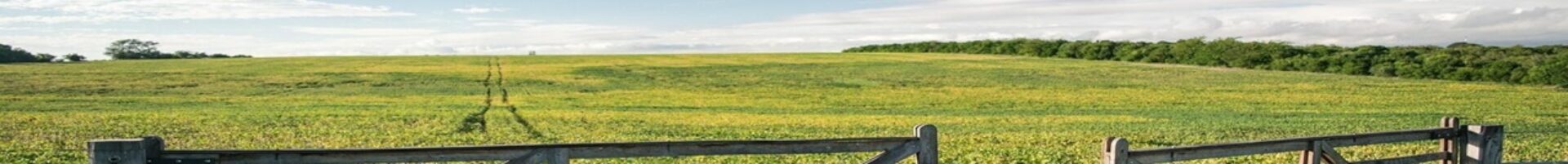 Merchant Creek LLC